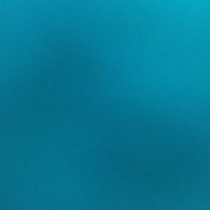 Meet your Posher, Felix